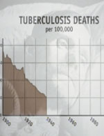 TB deaths graphic